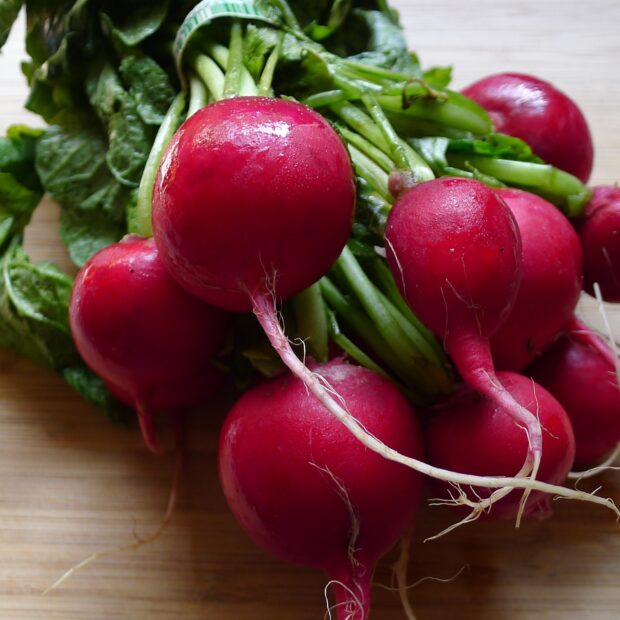 Fresh radish with green leaves on a wooden surface for radish