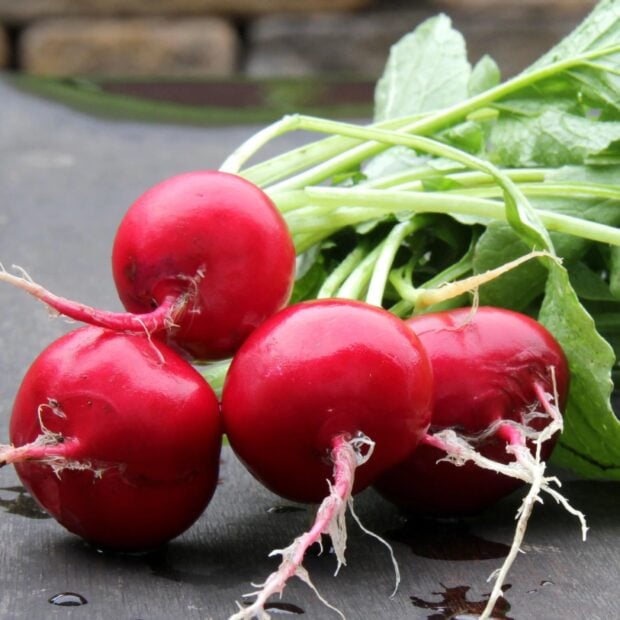 Fresh radish with green leaves on a wooden surface