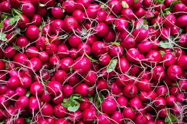 Fresh red radish with roots and leaves packed together in a vibrant pile