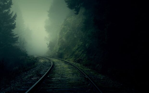 Railway tracks winding through a misty forest with green moss on the ground