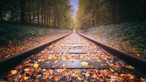 Railway tracks covered with autumn leaves surrounded by dense forest trees