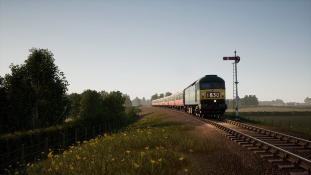 A diesel locomotive pulling a long passenger train through a countryside railway track with flowers and trees alongside the rails