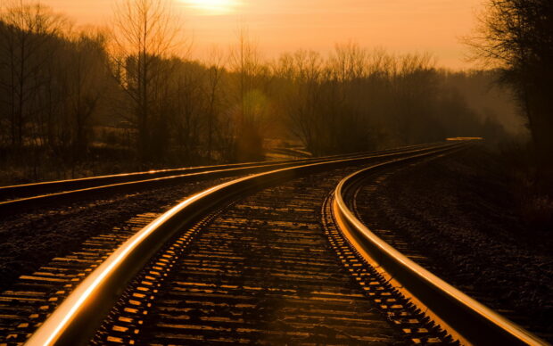 Golden sunlight reflecting on railway tracks in a peaceful forest setting at sunset