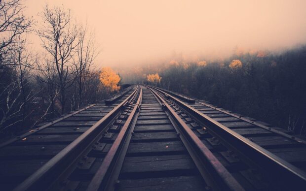 Railway tracks leading through foggy autumn forest with yellow trees and bare branches