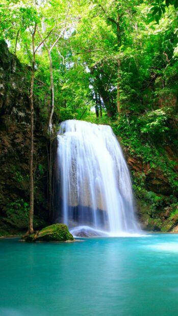 Beautiful waterfall surrounded by lush rainforest foliage and clear blue water