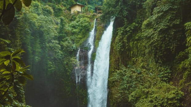 A lush rainforest with a large waterfall flowing beside dense vegetation and a small cabin