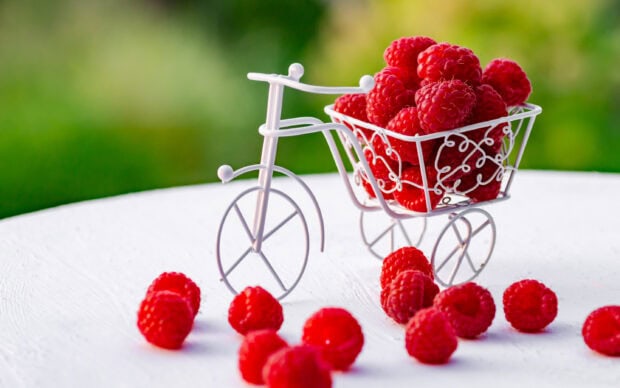 Fresh raspberry berries in a decorative white miniature bicycle basket on a white surface