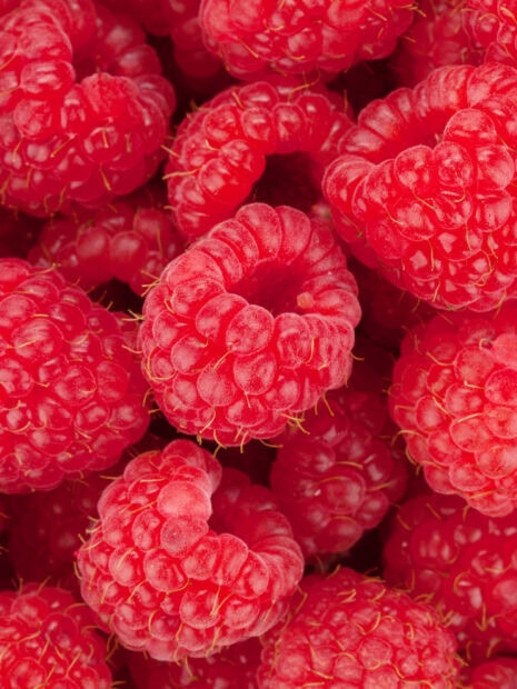 Close up view of fresh ripe raspberry fruits in high resolution
