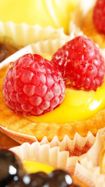 Fresh raspberry close up on a delicious tart with creamy filling