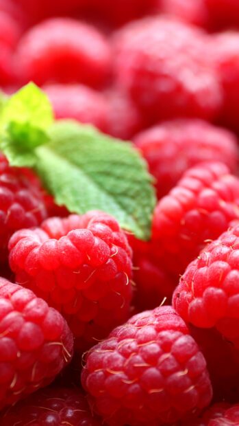 Fresh raspberry close up with a green leaf in sharp focus