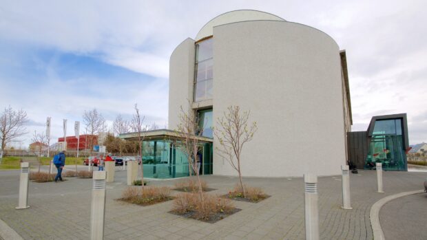 Modern building with glass entrance and trees in Reykjavik cityscape