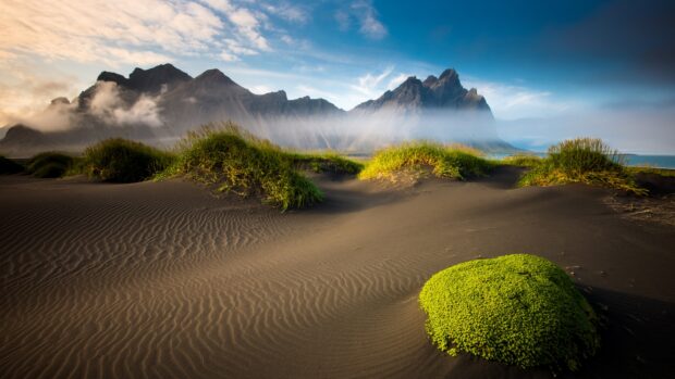 Black sand dunes with green vegetation under misty mountains in Reykjavik
