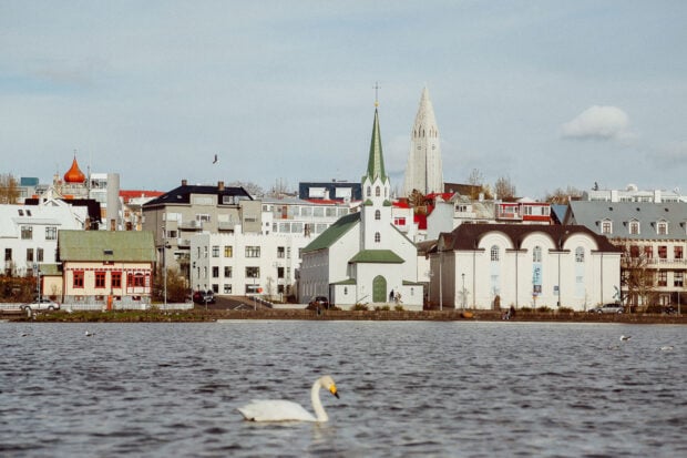 A serene view of Reykjavik skyline with a swan gliding on the water in the foreground