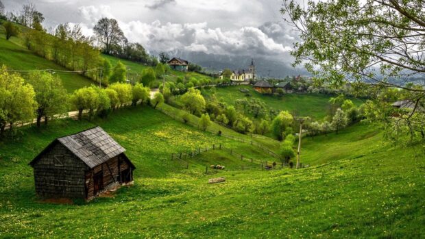 A rustic wooden cabin on a green hillside in Romania surrounded by trees and wildflowers