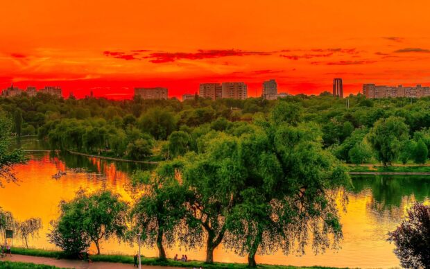 Lush green trees by the lake in Romania during a vibrant sunset