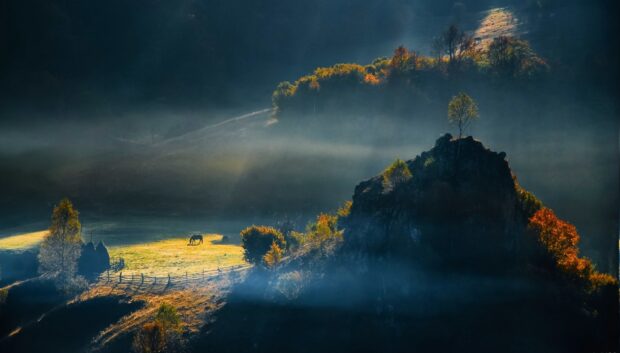A peaceful Romania landscape with a horse grazing near autumn trees and rocky hills in the morning light