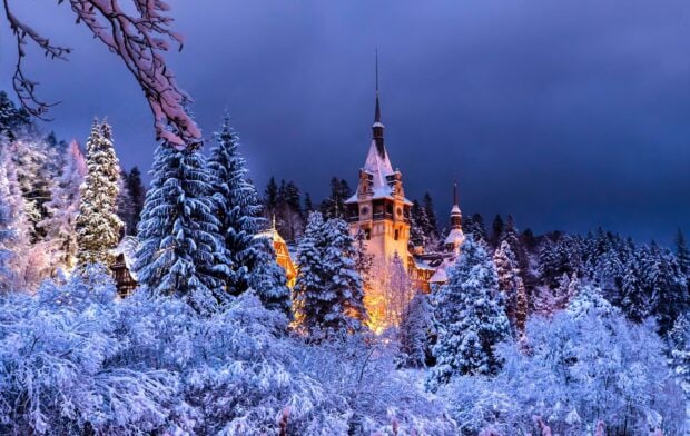 A peaceful winter scene with Romania castle surrounded by snow covered trees at dusk