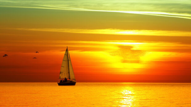 A sail boat sailing on calm water during a vibrant sunset with birds flying nearby