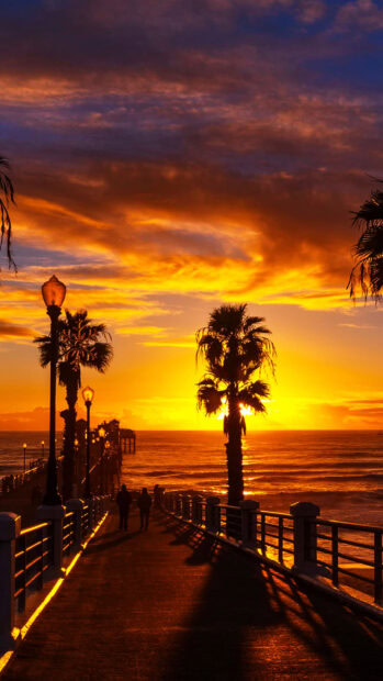 San Diego sunset with palm trees along a pier casting long shadows at dusk