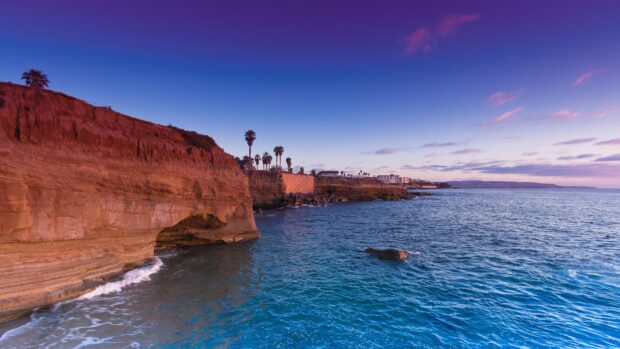 The San Diego coast features red cliffs and palm trees under a clear blue sky