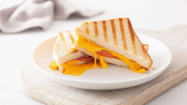 Grilled sandwich with melted cheese and ham on a white plate