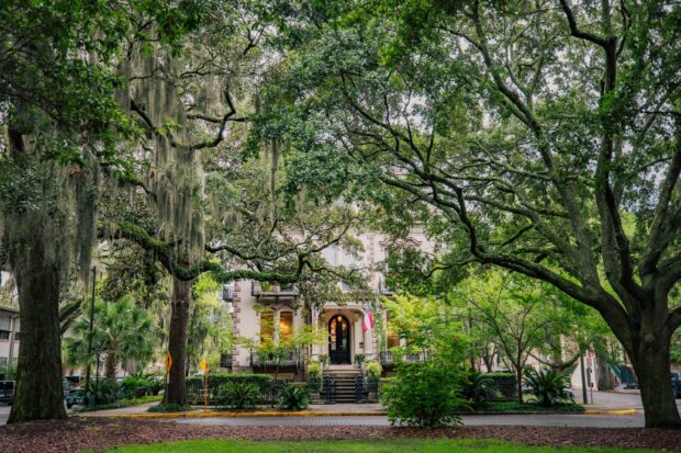 Historic home in Savannah Georgia surrounded by large oak trees and lush greenery
