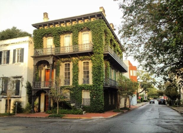 A historic Savannah Georgia building covered with green ivy on a quiet street corner