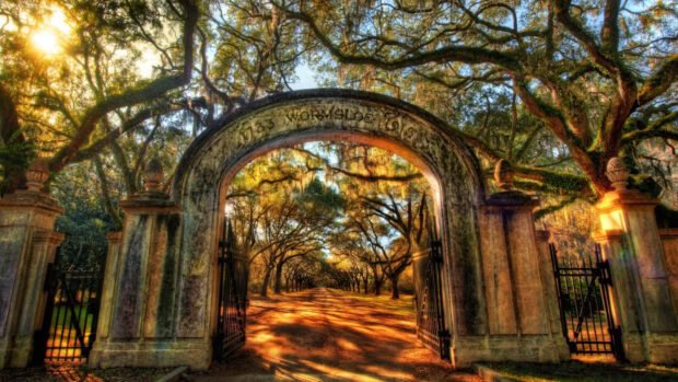 Historic arch entrance with oak trees in Savannah Georgia scenery