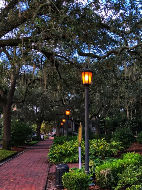 Street lamps lining a path with lush greenery in Savannah Georgia