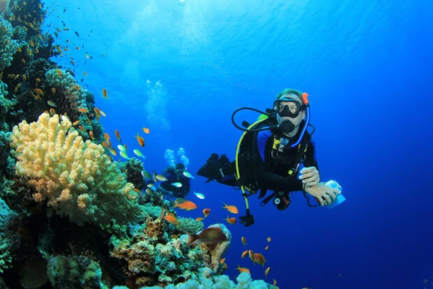 A scuba diver exploring colorful coral reefs and tropical fish underwater in clear blue water