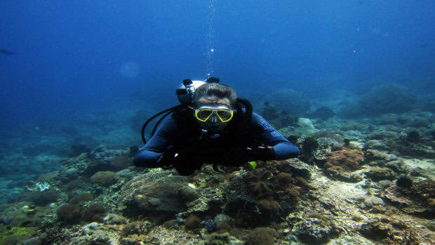 Scuba diving activity exploring coral reef underwater
