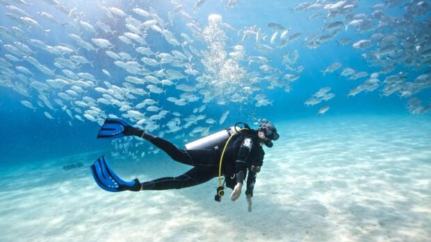 Scuba diver swimming underwater surrounded by a large school of fish
