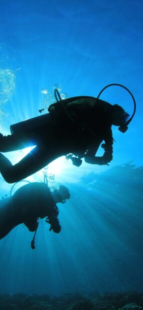 Two scuba divers exploring underwater with sunlight streaming through the ocean water