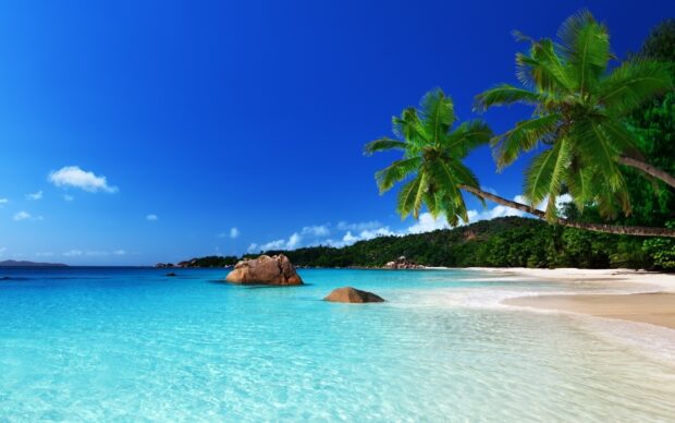 Tropical seascape with clear turquoise water and palm trees on a sunny beach