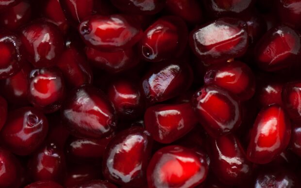 Close up of glossy red seeds texture with natural highlights