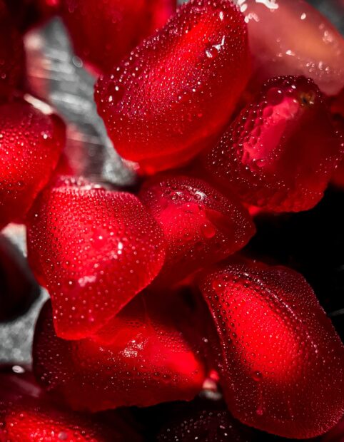 Close up of seeds covered with water droplets in vibrant red color