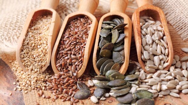 Four kinds of seeds displayed in wooden scoops on a rustic surface