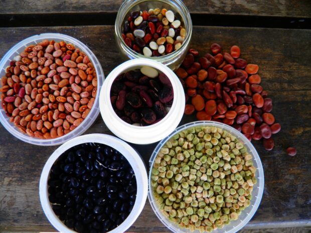 Various colorful seeds in containers arranged on a wooden surface displaying natural seed collections