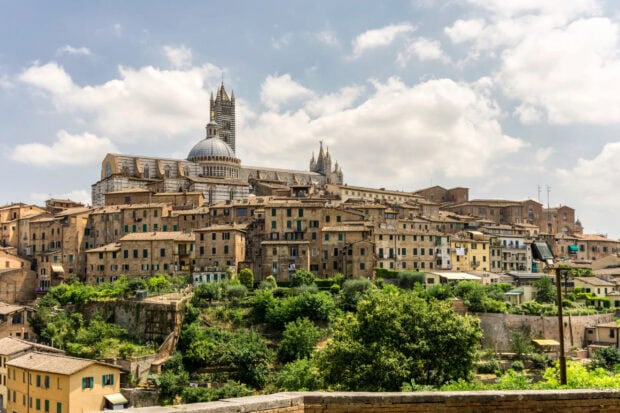 Historic Siena cityscape with ancient buildings under a cloudy sky