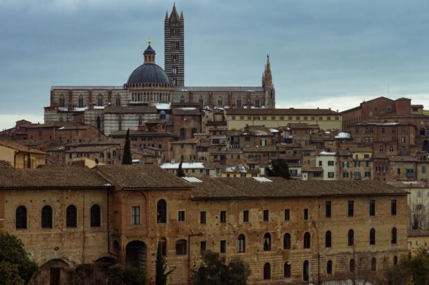 Historic Siena skyline with cathedral and old buildings under cloudy sky