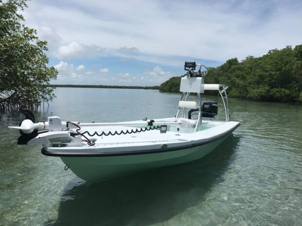 Skiff floating in clear water near mangroves under a cloudy sky