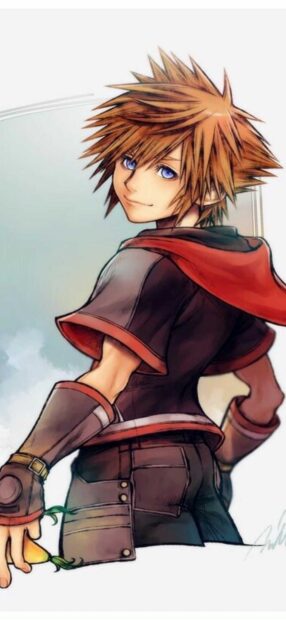 Sora character from Kingdom Hearts holding a flower and looking back with blue eyes