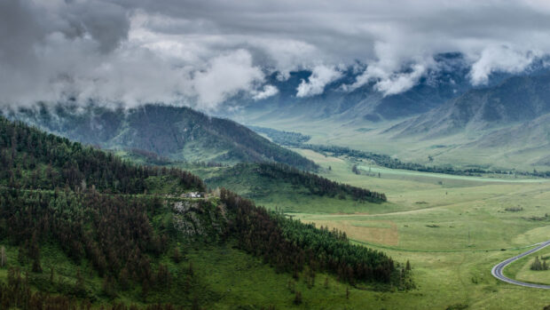 A scenic view of spruce covering hills with misty clouds over the mountains in the landscape