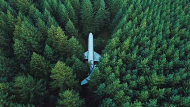 An aerial view of spruce trees surrounding a plane in a dense forest environment
