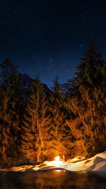A person sitting by the campfire near spruce trees under a starry night sky