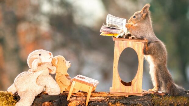 A squirrel interacting with a wooden structure while two stuffed toys watch on a natural log surface