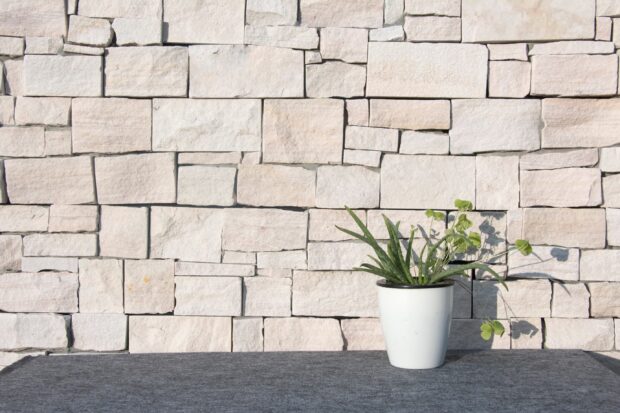 A potted plant placed in front of a stone wall showcasing stone wall texture