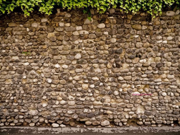 A close up view of natural stone wall covered with green ivy leaves