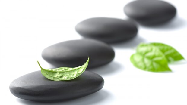Smooth stone with a green leaf resting on top in a peaceful arrangement