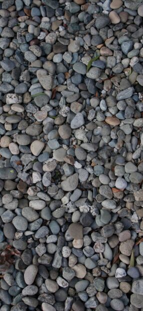 Small stones of various shapes and colors covering the ground naturally without any arrangement